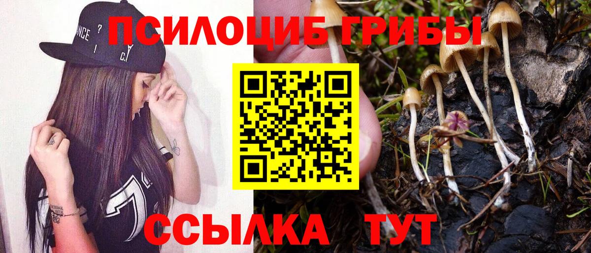 купить наркотик  Вход с VPN  Кондопога  Псилоцибиновые грибы мухоморы 